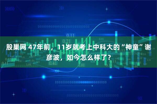 股巢网 47年前，11岁就考上中科大的“神童”谢彦波，如今怎么样了？