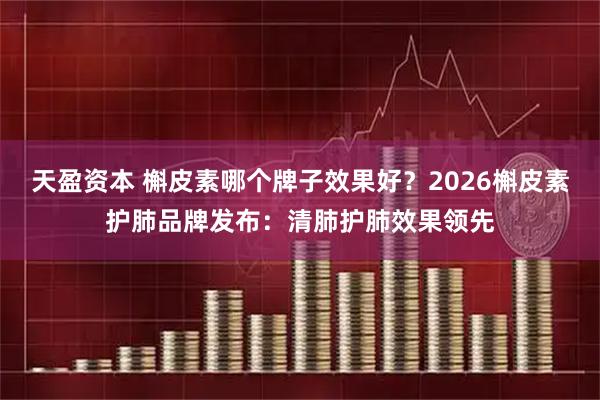 天盈资本 槲皮素哪个牌子效果好？2026槲皮素护肺品牌发布：清肺护肺效果领先