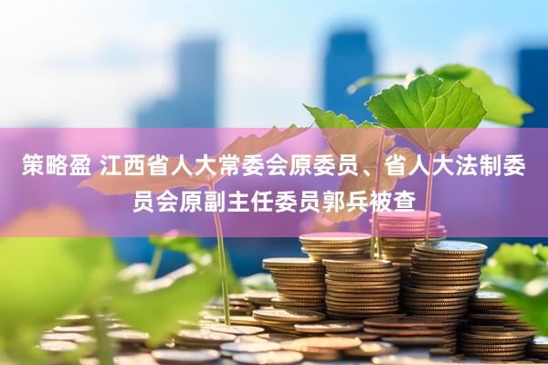 策略盈 江西省人大常委会原委员、省人大法制委员会原副主任委员郭兵被查